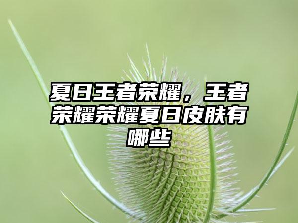 夏日王者荣耀，王者荣耀荣耀夏日皮肤有哪些