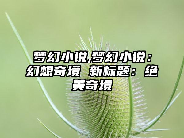 梦幻小说,梦幻小说：幻想奇境 新标题：绝美奇境