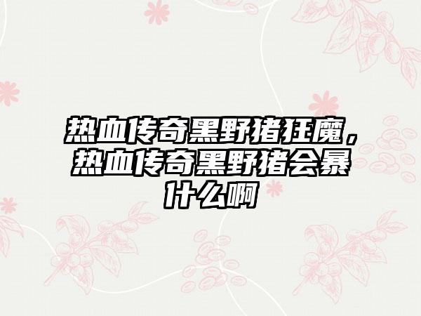 热血传奇黑野猪狂魔，热血传奇黑野猪会暴什么啊