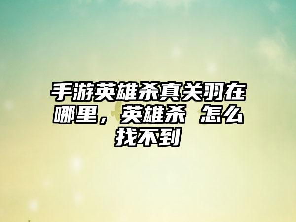 手游英雄杀真关羽在哪里，英雄杀 怎么找不到