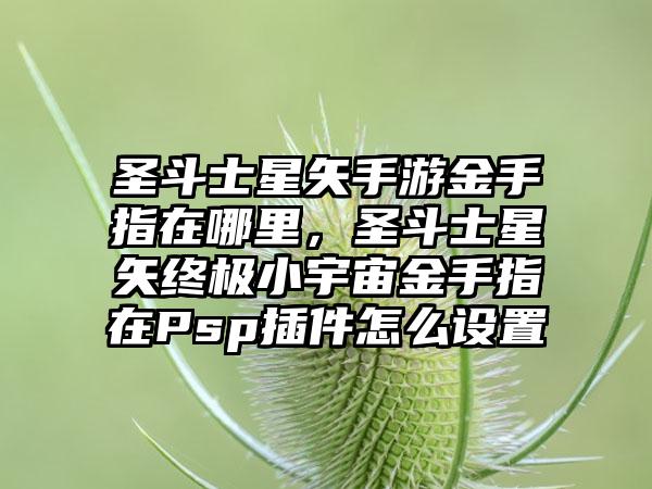 圣斗士星矢手游金手指在哪里，圣斗士星矢终极小宇宙金手指在Psp插件怎么设置