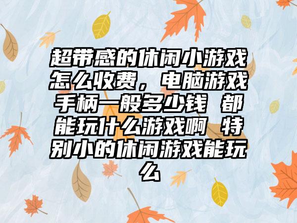 超带感的休闲小游戏怎么收费，电脑游戏手柄一般多少钱 都能玩什么游戏啊 特别小的休闲游戏能玩么
