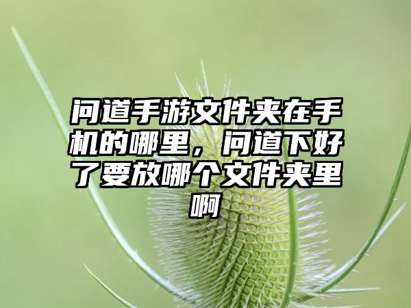 问道手游文件夹在手机的哪里，问道下好了要放哪个文件夹里啊