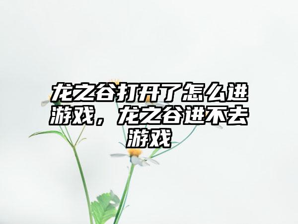 龙之谷打开了怎么进游戏，龙之谷进不去游戏