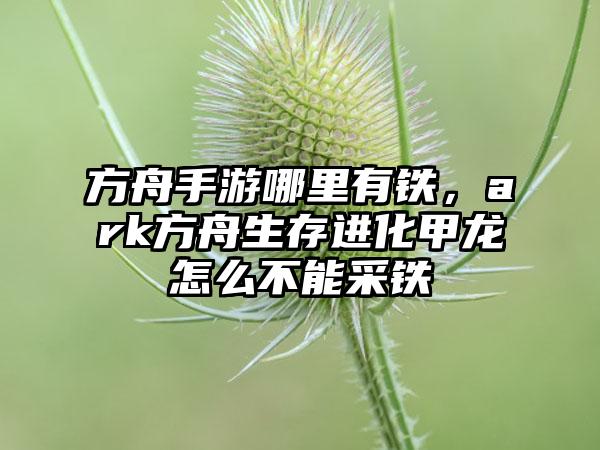 方舟手游哪里有铁，ark方舟生存进化甲龙怎么不能采铁