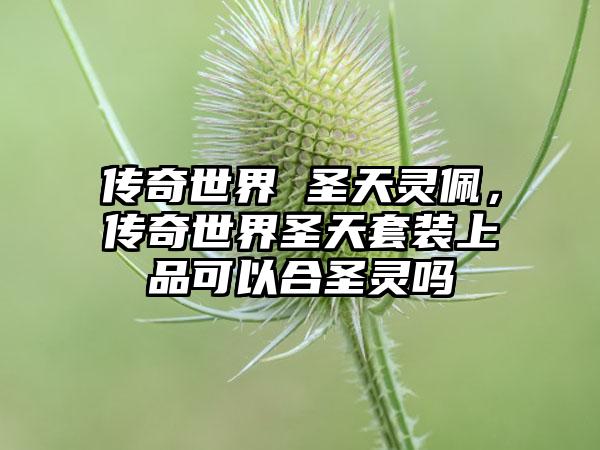 传奇世界 圣天灵佩，传奇世界圣天套装上品可以合圣灵吗