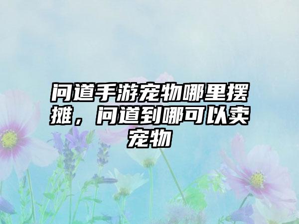 问道手游宠物哪里摆摊，问道到哪可以卖宠物