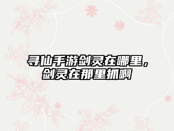 寻仙手游剑灵在哪里，剑灵在那里抓啊