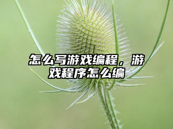 怎么写游戏编程，游戏程序怎么编