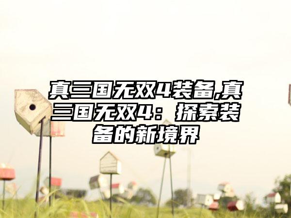 真三国无双4装备,真三国无双4：探索装备的新境界