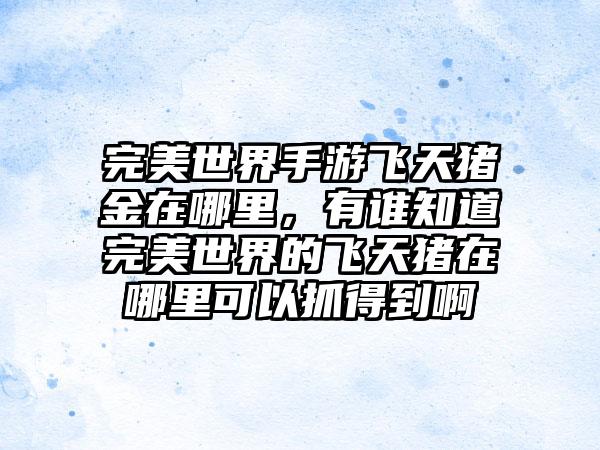 完美世界手游飞天猪金在哪里，有谁知道完美世界的飞天猪在哪里可以抓得到啊