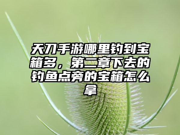 天刀手游哪里钓到宝箱多，第二章下去的钓鱼点旁的宝箱怎么拿