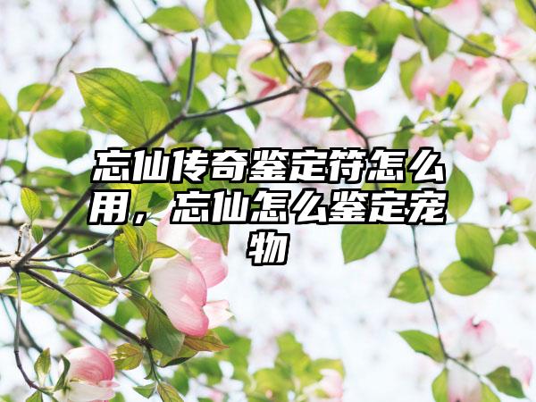 忘仙传奇鉴定符怎么用，忘仙怎么鉴定宠物