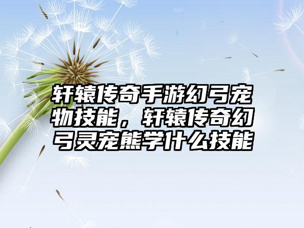 轩辕传奇手游幻弓宠物技能，轩辕传奇幻弓灵宠熊学什么技能