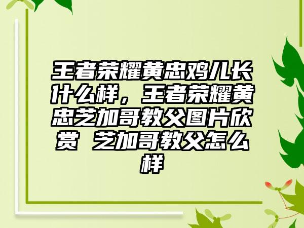 王者荣耀黄忠鸡儿长什么样，王者荣耀黄忠芝加哥教父图片欣赏 芝加哥教父怎么样