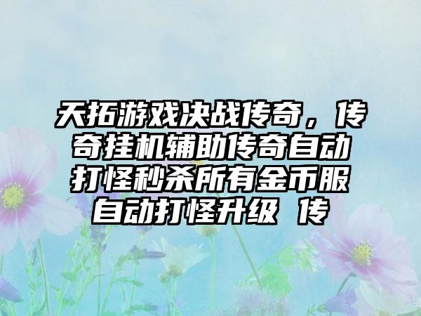 天拓游戏决战传奇，传奇挂机辅助传奇自动打怪秒杀所有金币服自动打怪升级 传