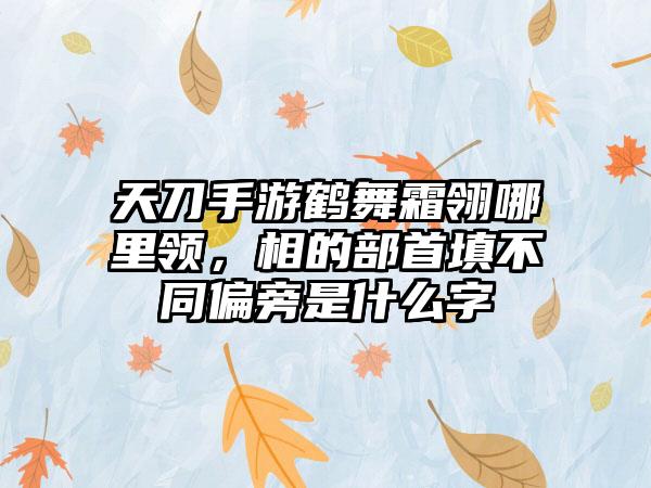 天刀手游鹤舞霜翎哪里领，相的部首填不同偏旁是什么字