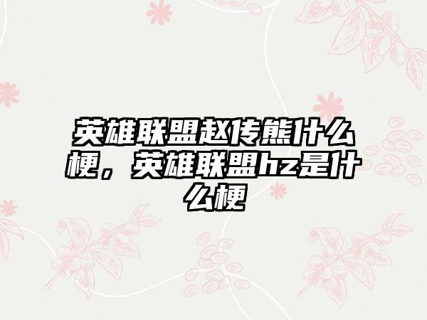 英雄联盟赵传熊什么梗，英雄联盟hz是什么梗