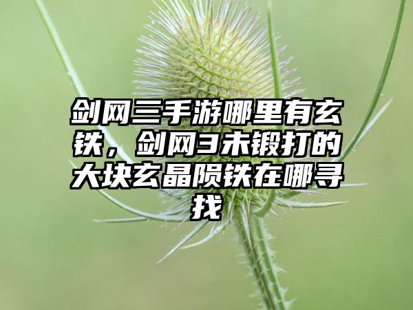 剑网三手游哪里有玄铁，剑网3未锻打的大块玄晶陨铁在哪寻找