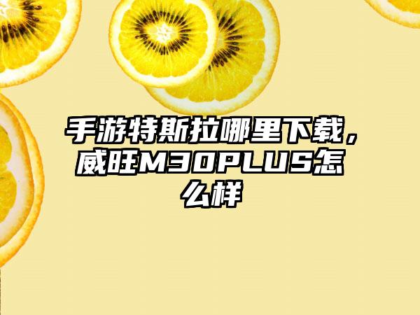 手游特斯拉哪里下载，威旺M30PLUS怎么样