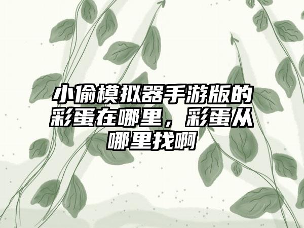 小偷模拟器手游版的彩蛋在哪里，彩蛋从哪里找啊