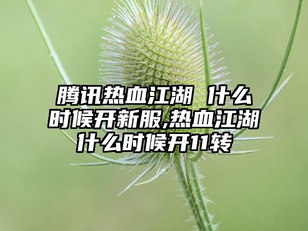 腾讯热血江湖 什么时候开新服,热血江湖什么时候开11转