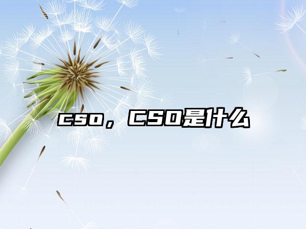 cso，CSO是什么