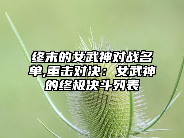 终末的女武神对战名单,重击对决：女武神的终极决斗列表