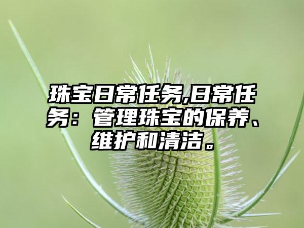 珠宝日常任务,日常任务：管理珠宝的保养、维护和清洁。