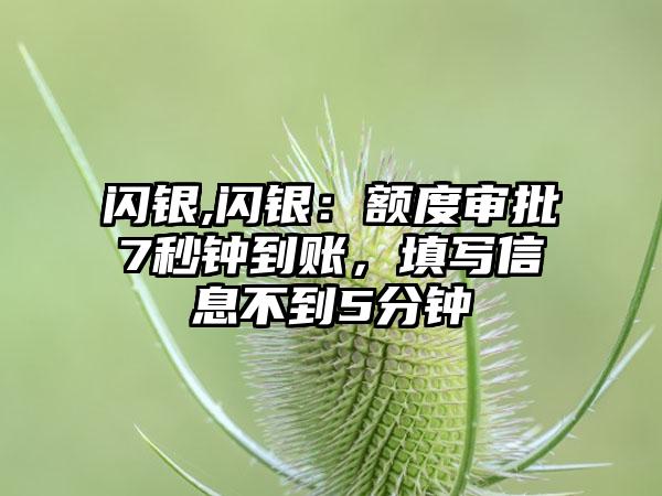 闪银,闪银：额度审批7秒钟到账，填写信息不到5分钟