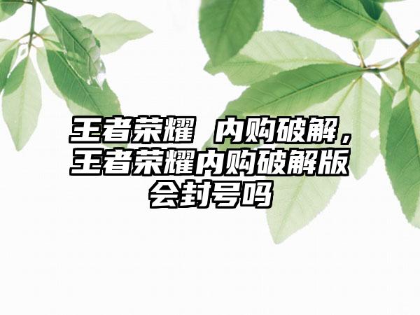 王者荣耀 内购破解，王者荣耀内购破解版会封号吗