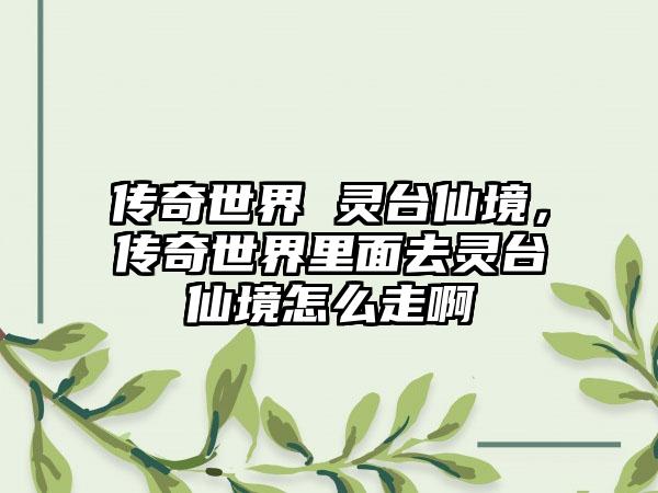 传奇世界 灵台仙境，传奇世界里面去灵台仙境怎么走啊