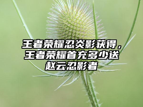 王者荣耀忍炎影获得，王者荣耀首充多少送赵云忍影者