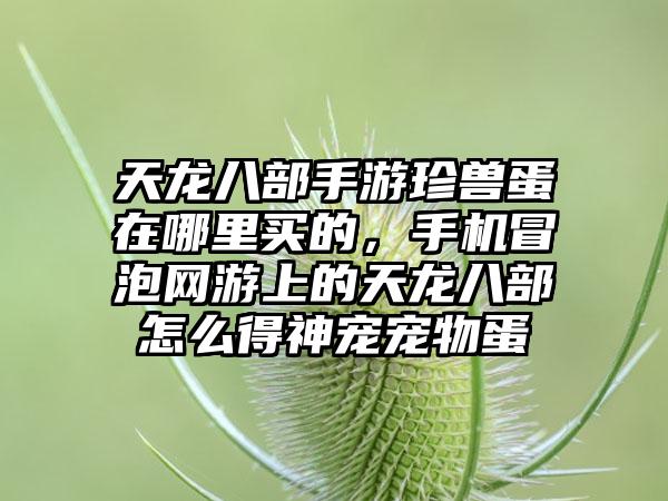 天龙八部手游珍兽蛋在哪里买的，手机冒泡网游上的天龙八部怎么得神宠宠物蛋