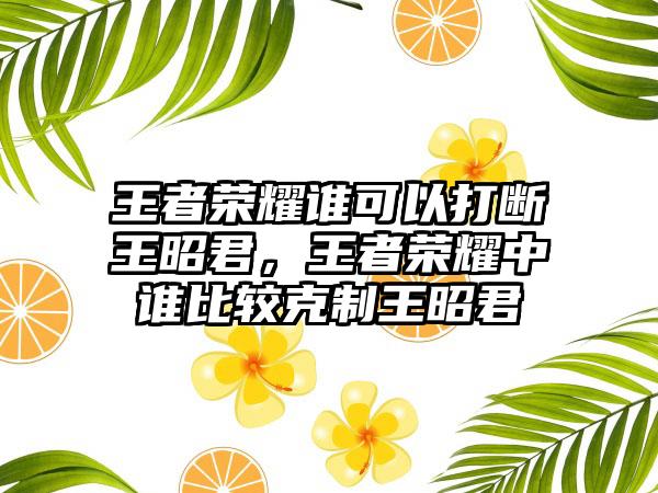 王者荣耀谁可以打断王昭君，王者荣耀中谁比较克制王昭君