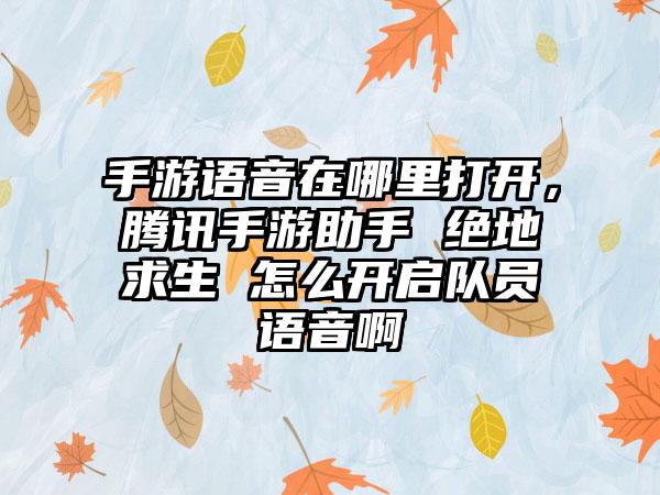 手游语音在哪里打开，腾讯手游助手 绝地求生 怎么开启队员语音啊