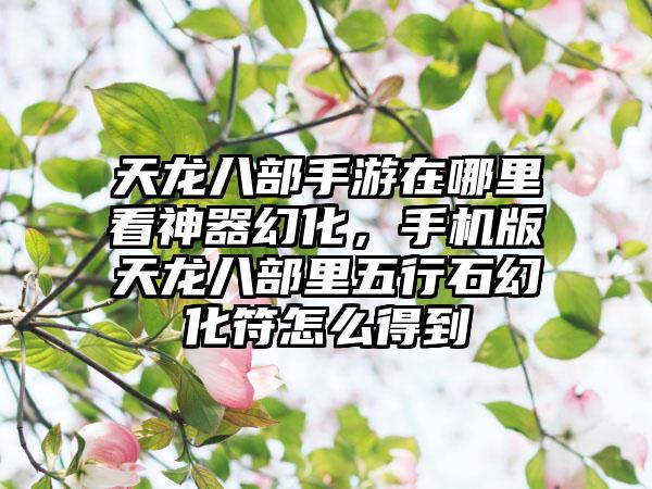 天龙八部手游在哪里看神器幻化，手机版天龙八部里五行石幻化符怎么得到