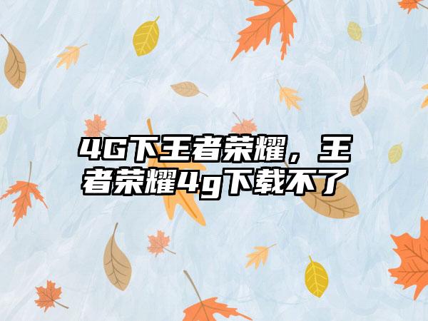 4G下王者荣耀，王者荣耀4g下载不了