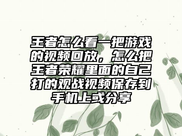 王者怎么看一把游戏的视频回放，怎么把王者荣耀里面的自己打的观战视频保存到手机上或分享