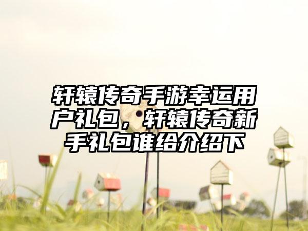 轩辕传奇手游幸运用户礼包，轩辕传奇新手礼包谁给介绍下