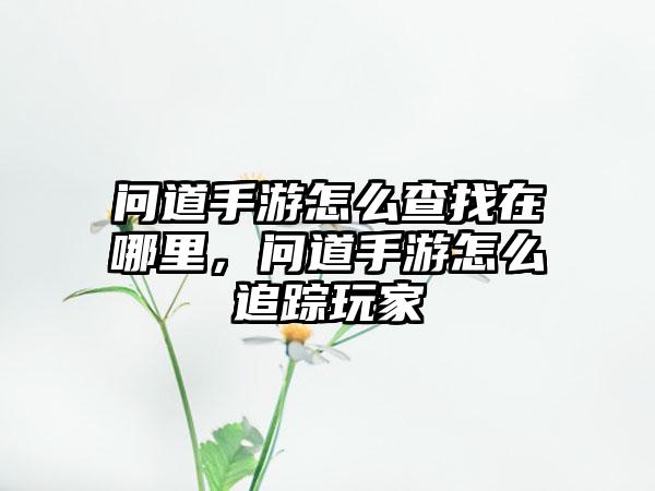 问道手游怎么查找在哪里，问道手游怎么追踪玩家