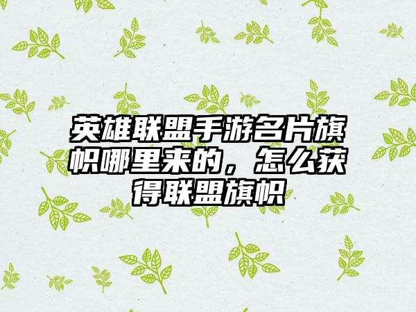 英雄联盟手游名片旗帜哪里来的，怎么获得联盟旗帜