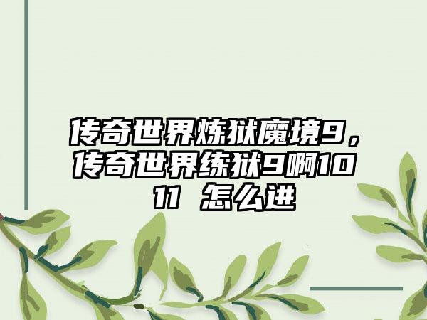 传奇世界炼狱魔境9，传奇世界练狱9啊10 11 怎么进