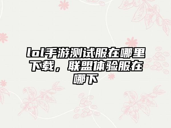 lol手游测试服在哪里下载，联盟体验服在哪下