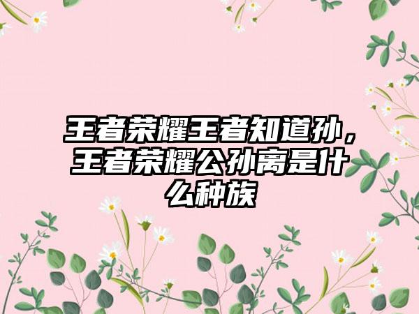 王者荣耀王者知道孙，王者荣耀公孙离是什么种族