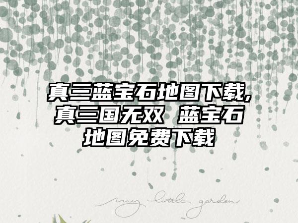 真三蓝宝石地图下载,真三国无双 蓝宝石地图免费下载