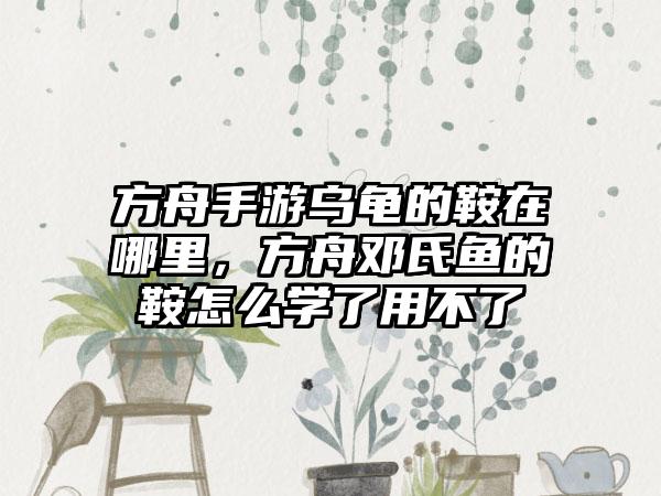 方舟手游乌龟的鞍在哪里，方舟邓氏鱼的鞍怎么学了用不了