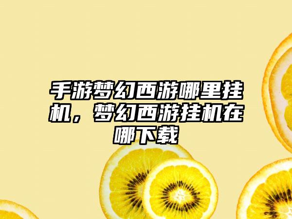 手游梦幻西游哪里挂机，梦幻西游挂机在哪下载