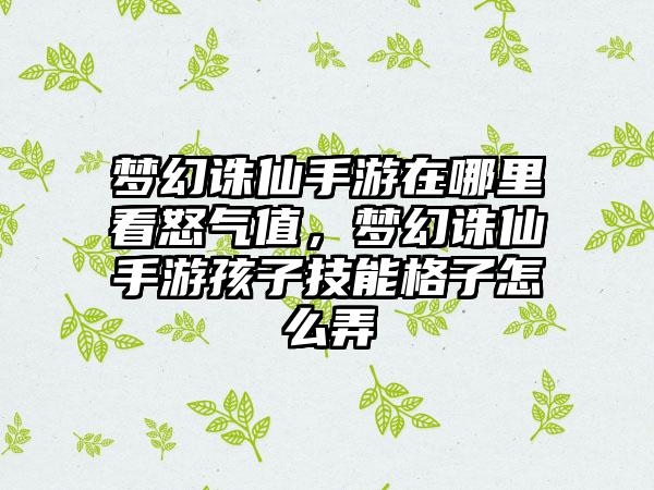 梦幻诛仙手游在哪里看怒气值，梦幻诛仙手游孩子技能格子怎么弄