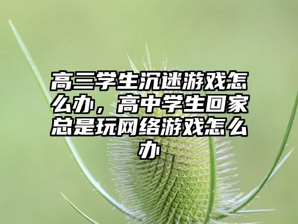 高三学生沉迷游戏怎么办，高中学生回家总是玩网络游戏怎么办